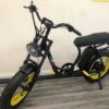 E-Bike Chopper