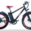 E-BIKE Modello FAT