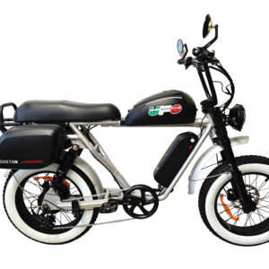 E-BIKE Modello CUSTOM