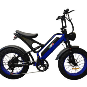 E-BIKE Modello ZEUS